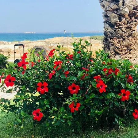 Aparthotel Oasis