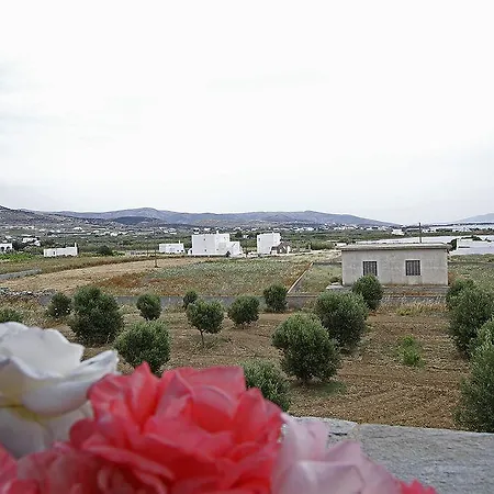 Oasis